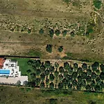 Villa Olivetum