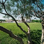 Olivetum Villa