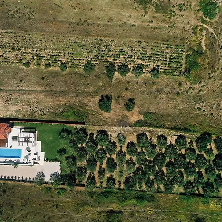 Villa Olivetum
